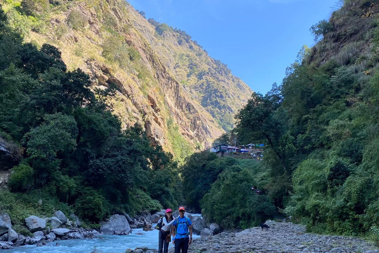 Journey Through Langtang: A 6-Day Trek with Meals