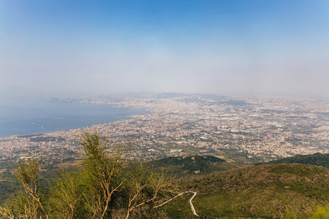 Depuis Naples  excursion d'une demi-journée tout-compris au VésuveDepuis la gare de Naples