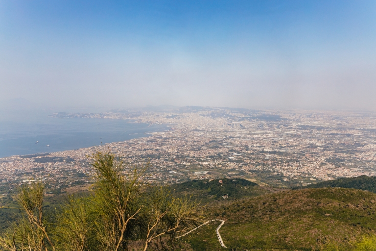 Desde Nápoles: Excursión de medio día con todo incluido al Monte VesubioDesde los hoteles de Nápoles