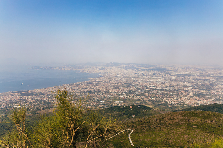 Depuis Naples  excursion d'une demi-journée tout-compris au VésuveDepuis la gare de Naples