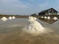 Salt Farm, Secret Lake, Secret Caves & Paper Farm - Housity