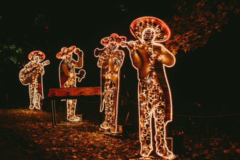 Budapest: biglietto d'ingresso per il Lumina Light Park Wonderworld