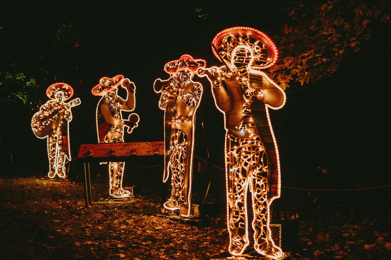 Budapest: biglietto d'ingresso per il Lumina Light Park Wonderworld