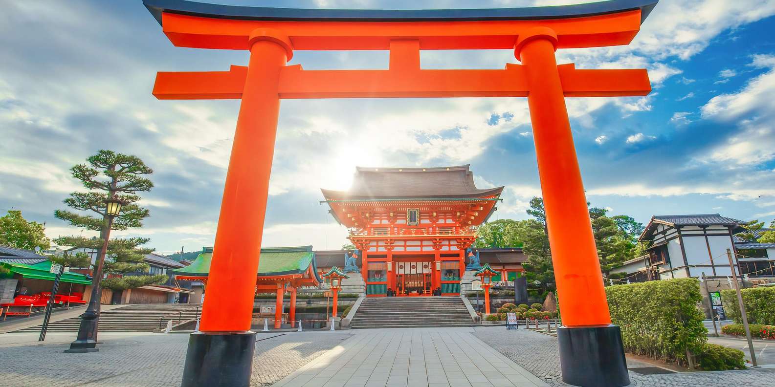 Kyoto experience — temples, geisha, bamboo grove — image 3