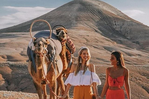 Marrakech: Agafay Desert Quad Bike, Camel Ride, Pool & Lunch Desert Agafay : Quad Biking, Camel Ride, Lunch & Pool