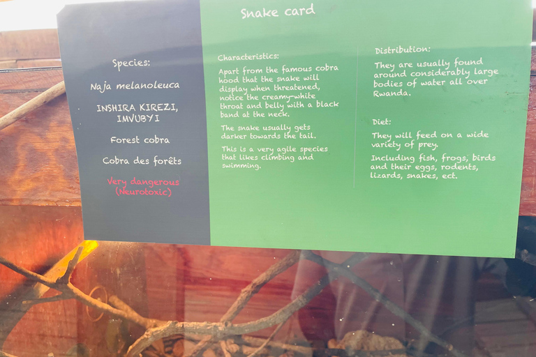 Kigali: Evening Sightseeing Tour with Traditional Dinner