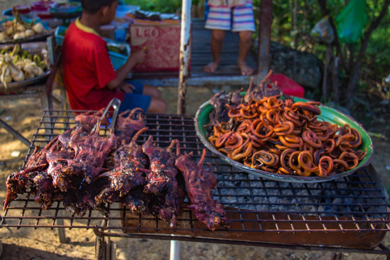 Battambang Afternoon Countryside, BambooTrain & BatCaveTour Afternoon Countryside, Bamboo Train & Bat Cave Tour