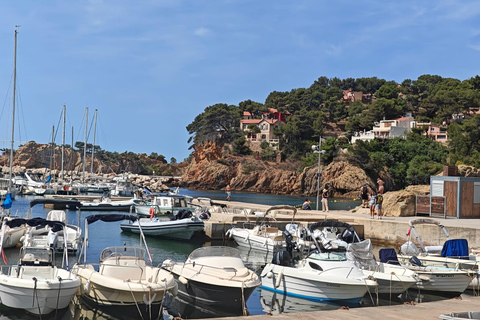 Absolut Calanques de Marseille. Kanjoner, fiskeby och turkos strand