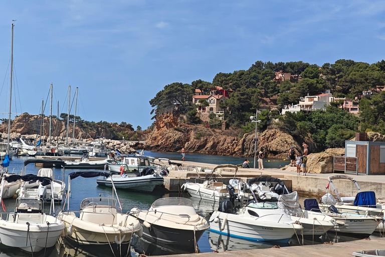 Absolut Calanques de Marseille. Kanjoner, fiskeby och turkos strand