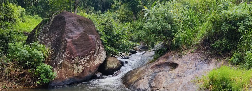 Ella : visite guidée d'une journée avec visite d'une plantation de thé
