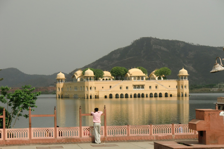 Jaipur: Excursão de meio dia ao Forte Amer, Jal Mahal e Stepwell