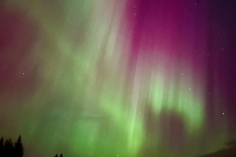 Rovaniemi: Guaranteed Aurora Hunting Tour with Photos