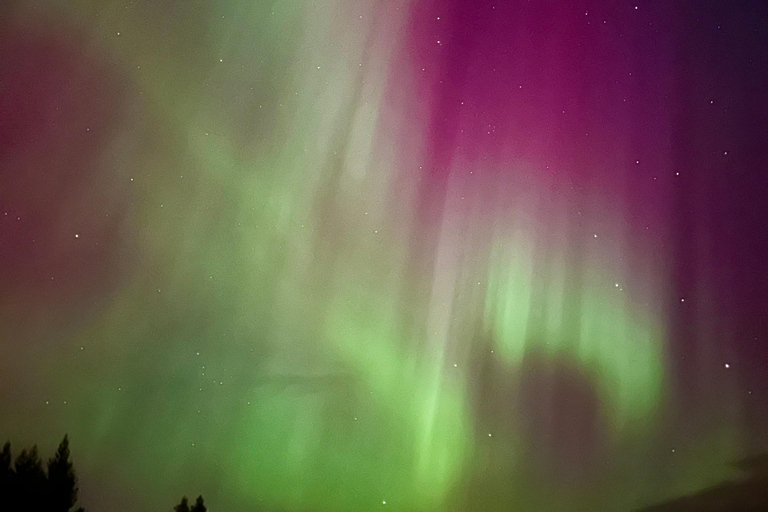 Rovaniemi: Guaranteed Aurora Hunting Tour with Photos