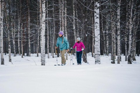 Pyhä: Skiing Tour in Arctic Forest
