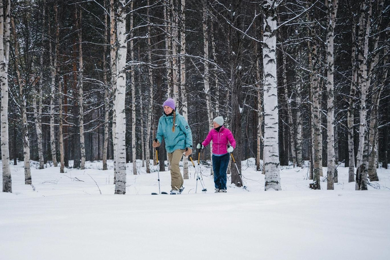 Pyhä: Skiing Tour in Arctic Forest