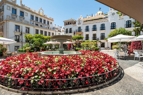 I segreti meglio custoditi di Estepona: Tour guidato della città in bicicletta