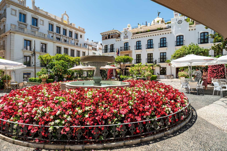 I segreti meglio custoditi di Estepona: Tour guidato della città in bicicletta