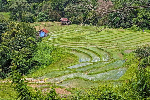 Chiang Mai: Parque Nacional de Doi Inthanon y Senderismo Pha Dok Siew