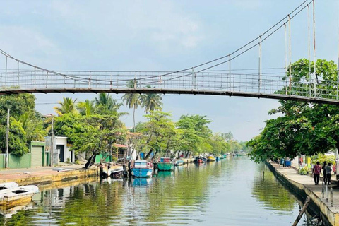 Muthurajawela Bird Watching Boat Tour & Colombo City Tour Tour from Bentota, Ahungalla, Hikkaduwa