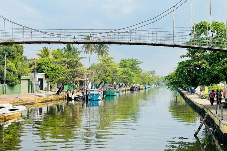 Muthurajawela Bird Watching Boat Tour & Colombo City Tour Tour from Bentota, Ahungalla, Hikkaduwa