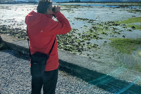 Santona: Konservenfabrik und die Sümpfe Tour mit Verkostung