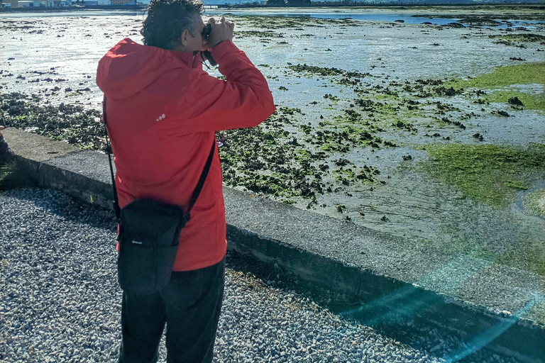 Santona: Konservenfabrik und die Sümpfe Tour mit Verkostung