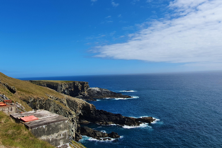 From Cork: West Cork to Mizen Head Guided Full Day Tour