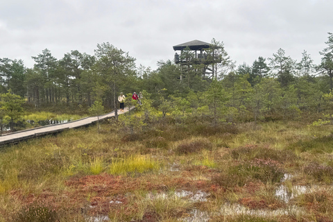 Nord de l'Estonie : circuit nature et mystère