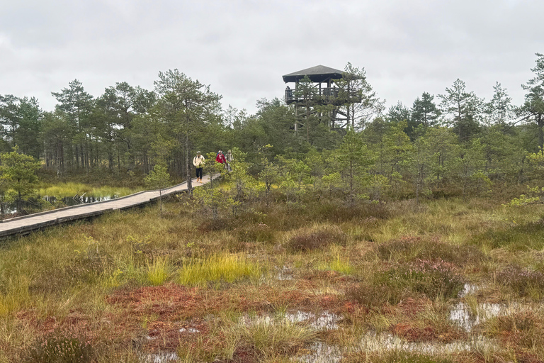Nord de l'Estonie : circuit nature et mystère