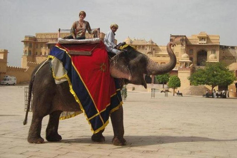 Jaipur: Tour panoramico di una giornata intera in auto con guidaTour di un giorno con la sola guida - (senza auto e autista)