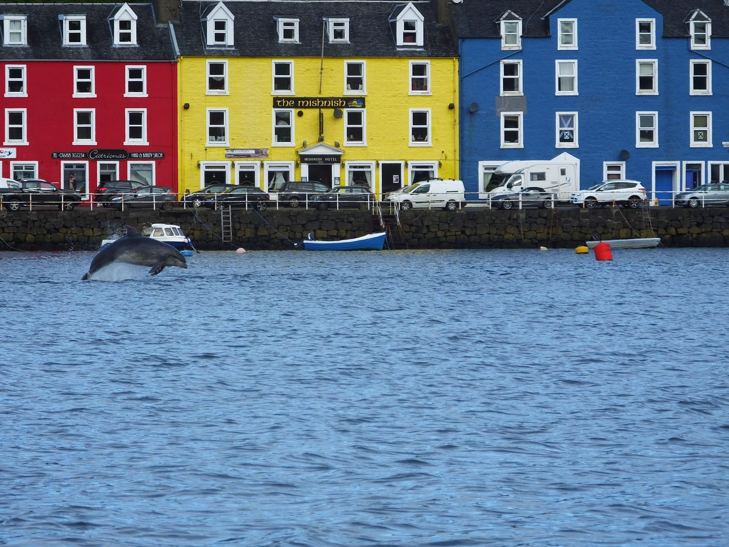 Isle of Mull: Geführter Rundgang an der Küste zum Tobermory Lighthouse