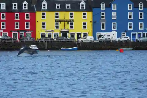 Isola di Mull: Passeggiata costiera guidata fino al Faro di Tobermory