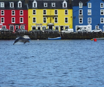 Isle of Mull: Guided Coastal Walk to Tobermory Lighthouse