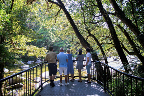 Cairns: 3-Day Daintree, Cape Tribulation & Port Douglas Tour Private Single Room (Adults only)