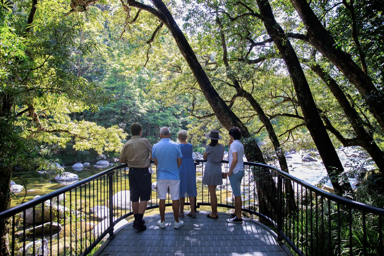 Cairns: 3-Day Daintree, Cape Tribulation & Port Douglas Tour Private Single Room (Adults only)