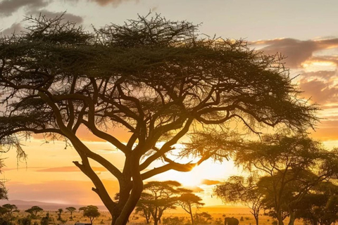 7-Day Best of Tanzania and Kenya Safari