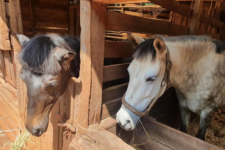 Nairobi: Kangemi Mlango Organic Farm Guided Tour