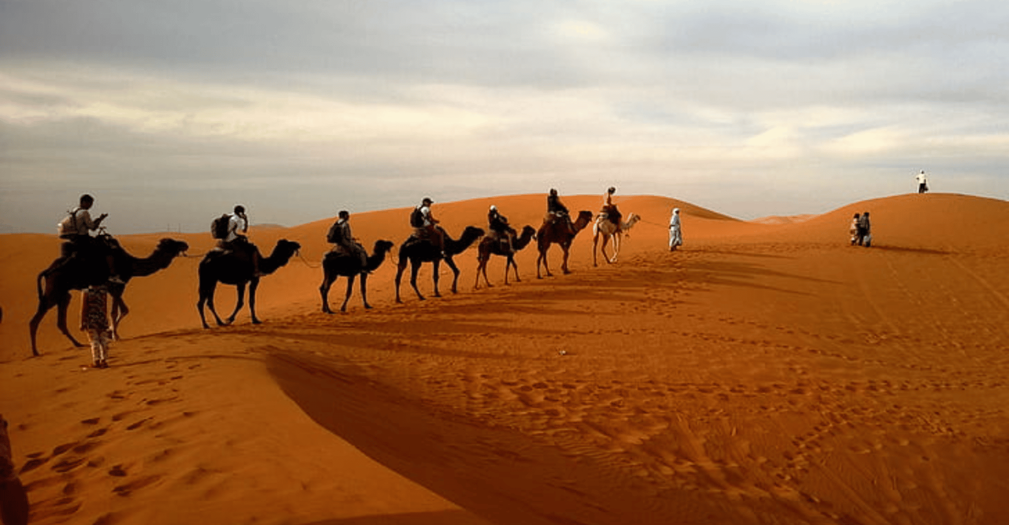 Doha: Dune Bashing Safari, Falcon, Camel, ATV, Sandboarding photo 6