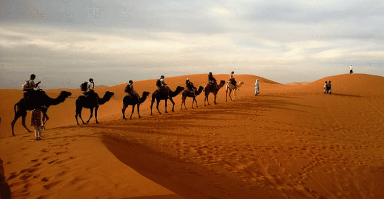 Doha: Dune Bashing Safari, Falcon, Camel, ATV, Sandboarding photo 6