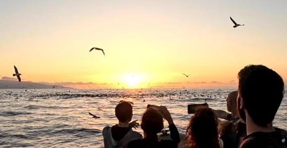 São Miguel: Bootstour bei Sonnenuntergang – Goldenes Licht, Klippen und Höhlen