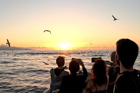 São Miguel: Sunset Boat Tour – Golden Light, Cliffs & Caves