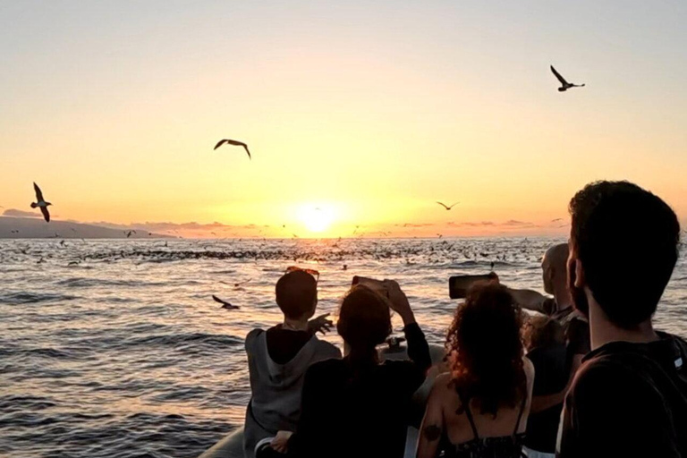 São Miguel: Sunset Boat Tour – Golden Light, Cliffs & Caves