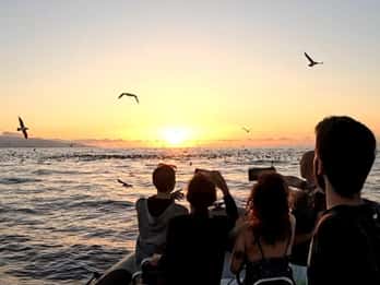 Ribeira Grande: Bootstour bei Sonnenuntergang |Cintrão Cape