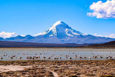 La Paz till Uyuni via Sajama nationalpark