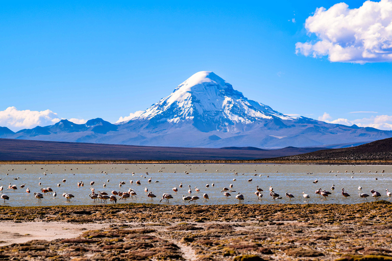 La Paz till Uyuni via Sajama nationalpark