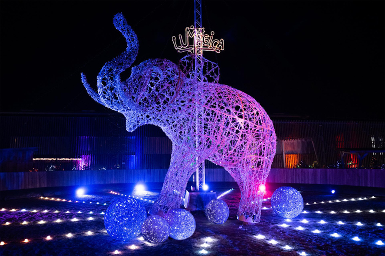 لوماجيكا ميونيخميونيخ: تذكرة دخول إلى منتزه لوماجيكا الخفيف في كافالونا