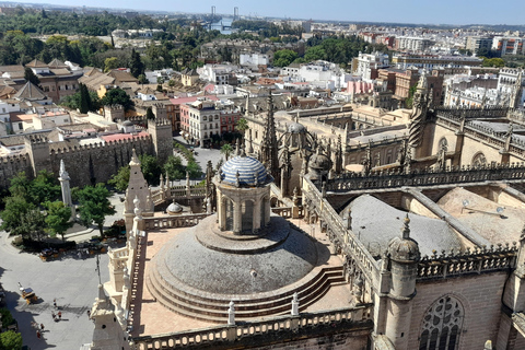 Seville: Entrance and guided tour of the Cathedral Seville: Entrance fee and guided tour Cathedral