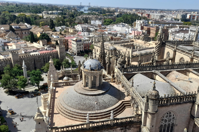 Seville: Entrance and guided tour of the Cathedral Seville: Entrance fee and guided tour Cathedral