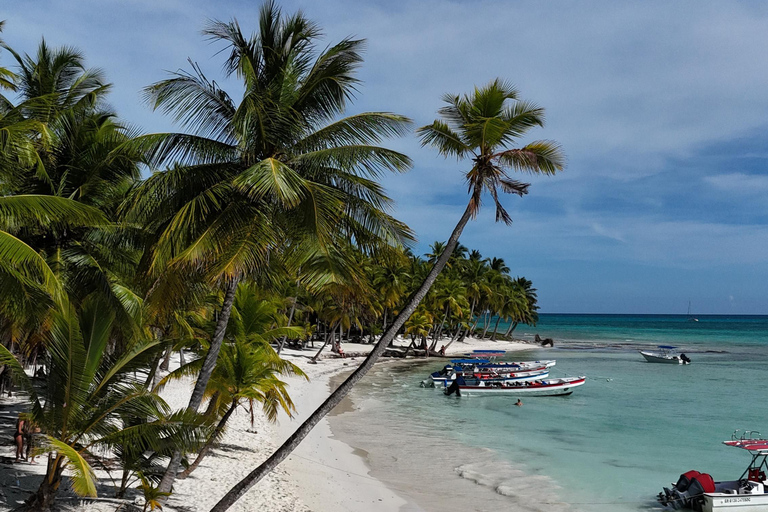 Saona Island: Premium Beach Tour