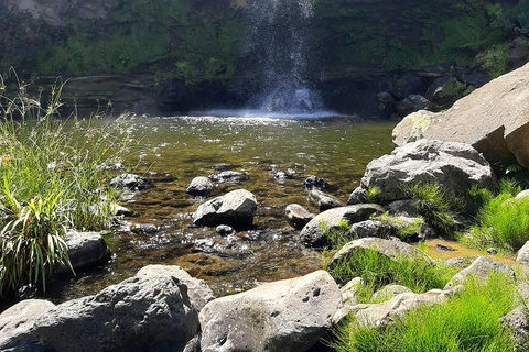 São Miguel: Moinho do Felix-Wanderung mit Besuch der Teefabrik